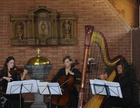 Trio-harp-1
